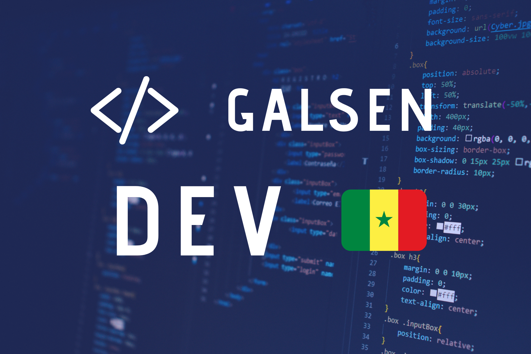 GalsenDEV Illustration